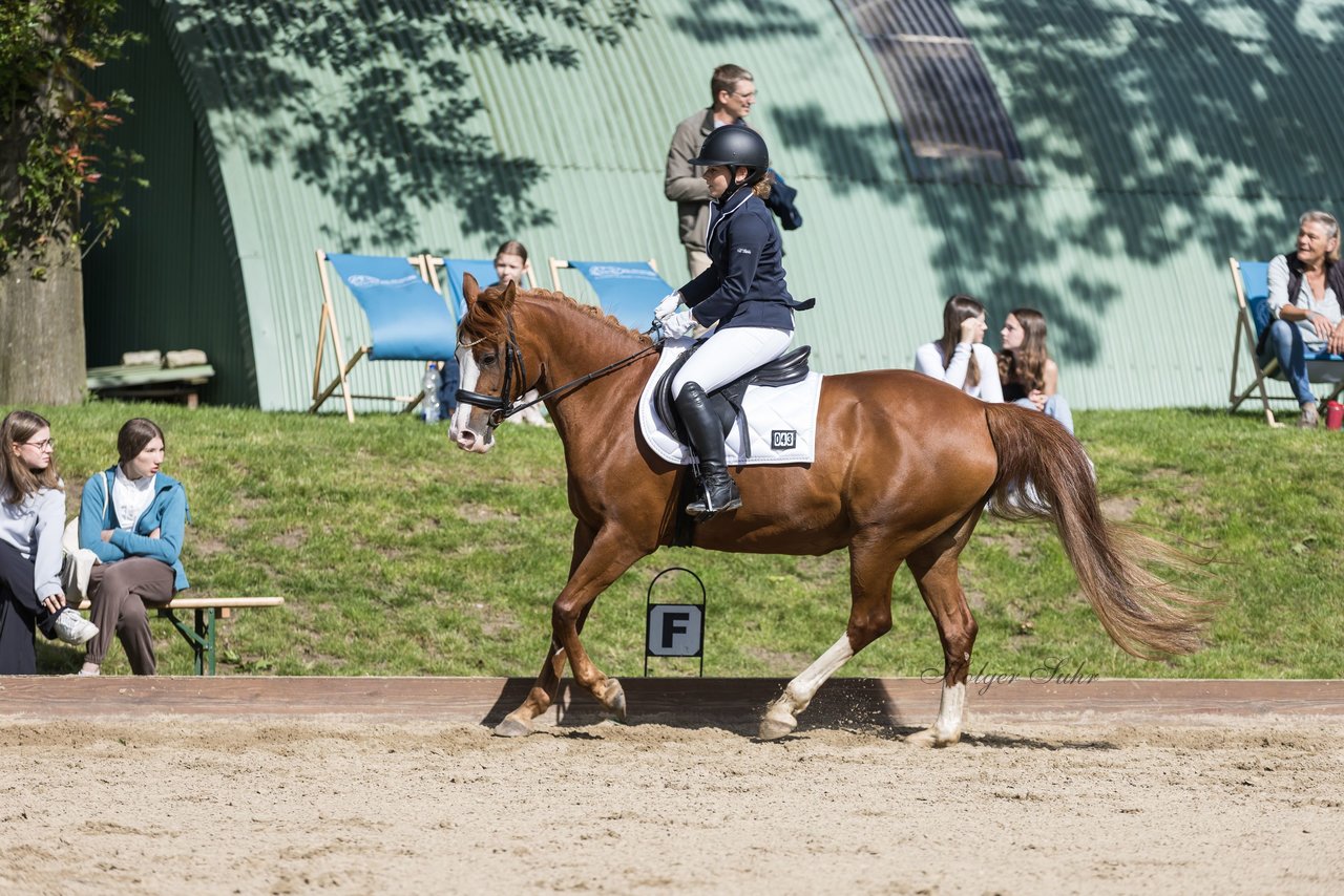 Bild 164 - Pony Akademie Turnier